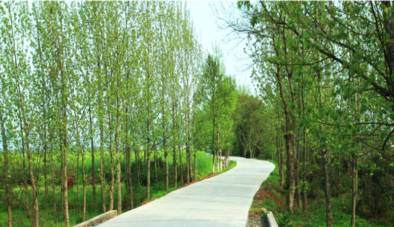 江西信豐縣工業(yè)園科之光路（緯二路）新建大道、產(chǎn)業(yè)大道北段一期工程設(shè)計、施工總承包（EPC）